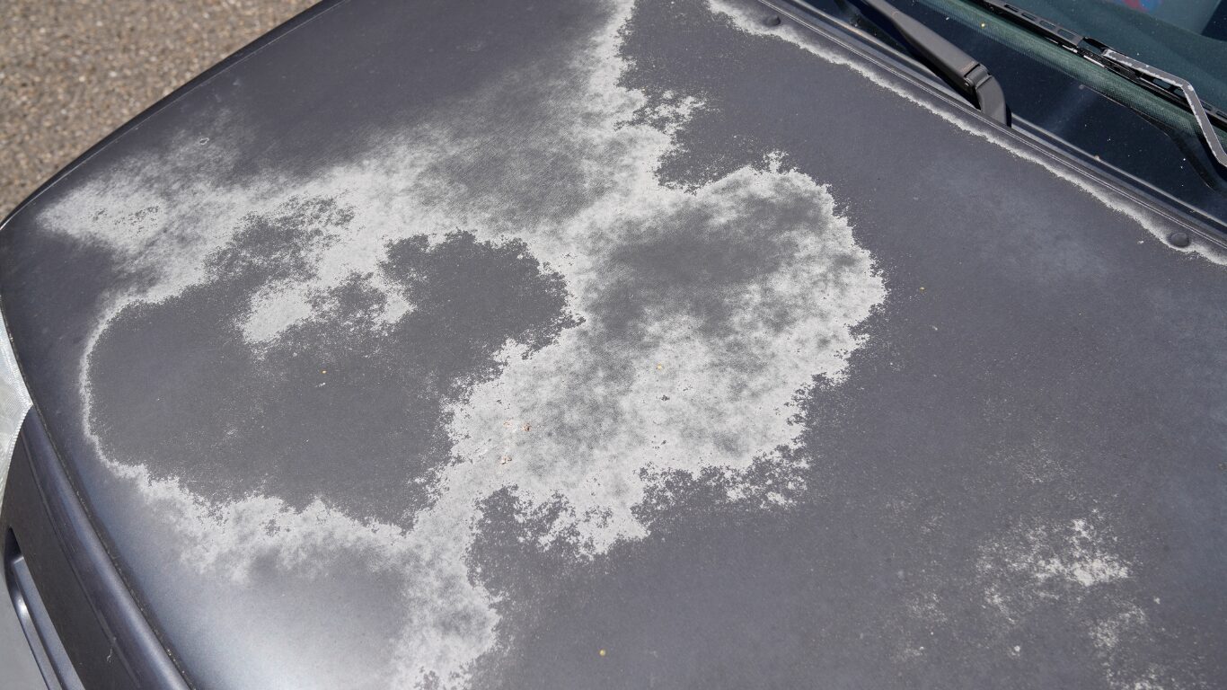 Sun-damaged bonnet with peeling clear coat.